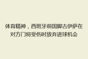 体育精神,西班牙前国脚古伊萨在对方门将受伤时放弃进球机会