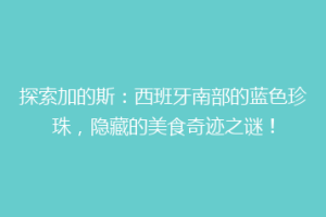 探索加的斯：西班牙南部的蓝色珍珠，隐藏的美食奇迹之谜！